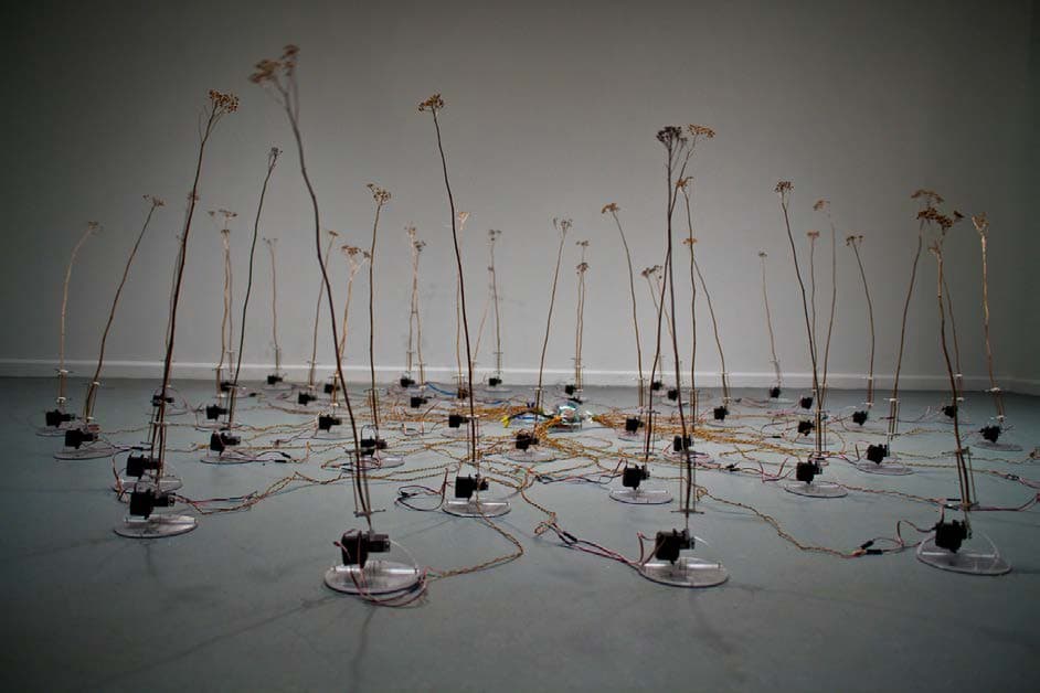 David Bowen, tele-present wind, 2011